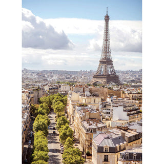 Puzzle in Paris 2 x 500 Teile