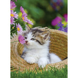 Ravensburger - Puzzle - 2 x 500 Teile