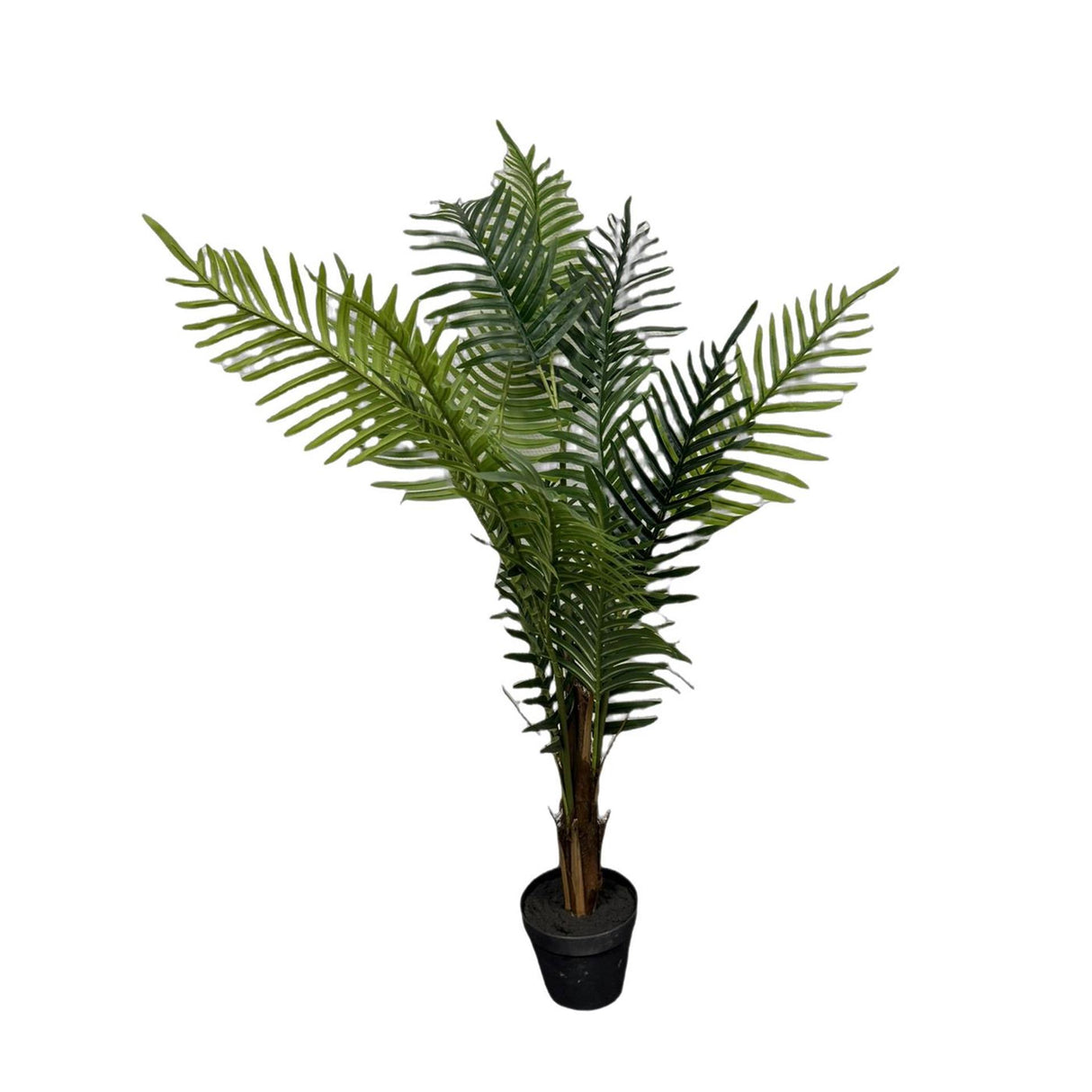 Z1 Deco Madagaskar-Palme im Topf H120cm