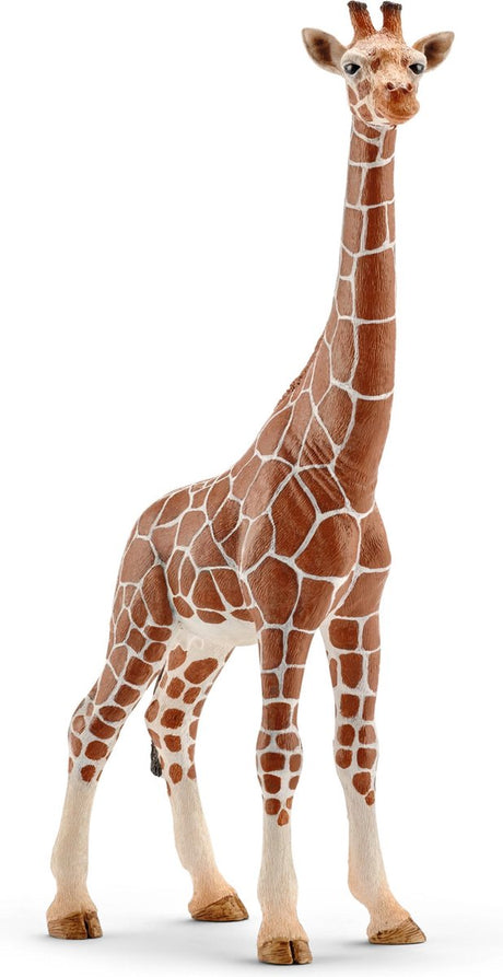 Schleich WILD LIFE Giraffe weiblich 14750