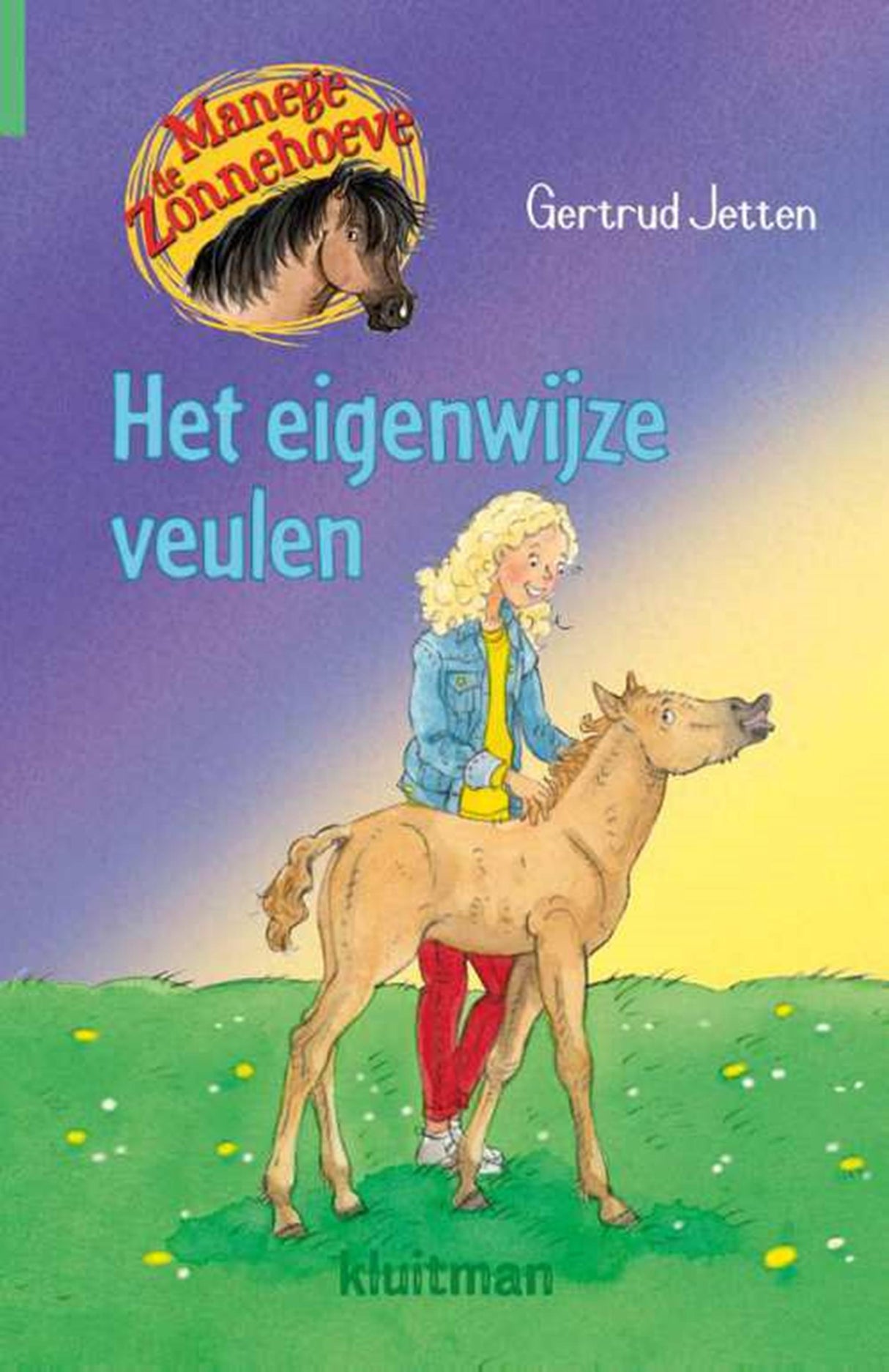 Kluitman Reitschule De Zonnehoeve – das störrische Fohlen