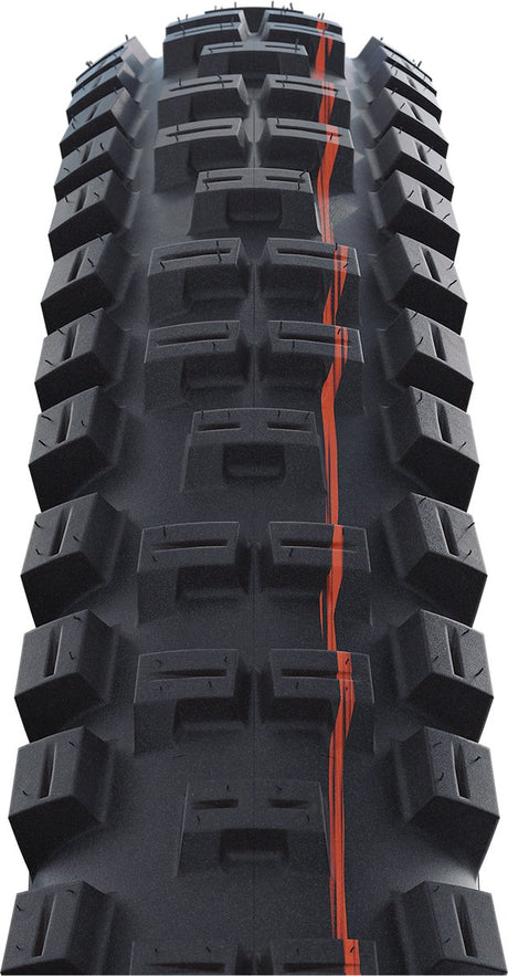 Schwalbe – Big Betty Performance Bikepark 26x2,40