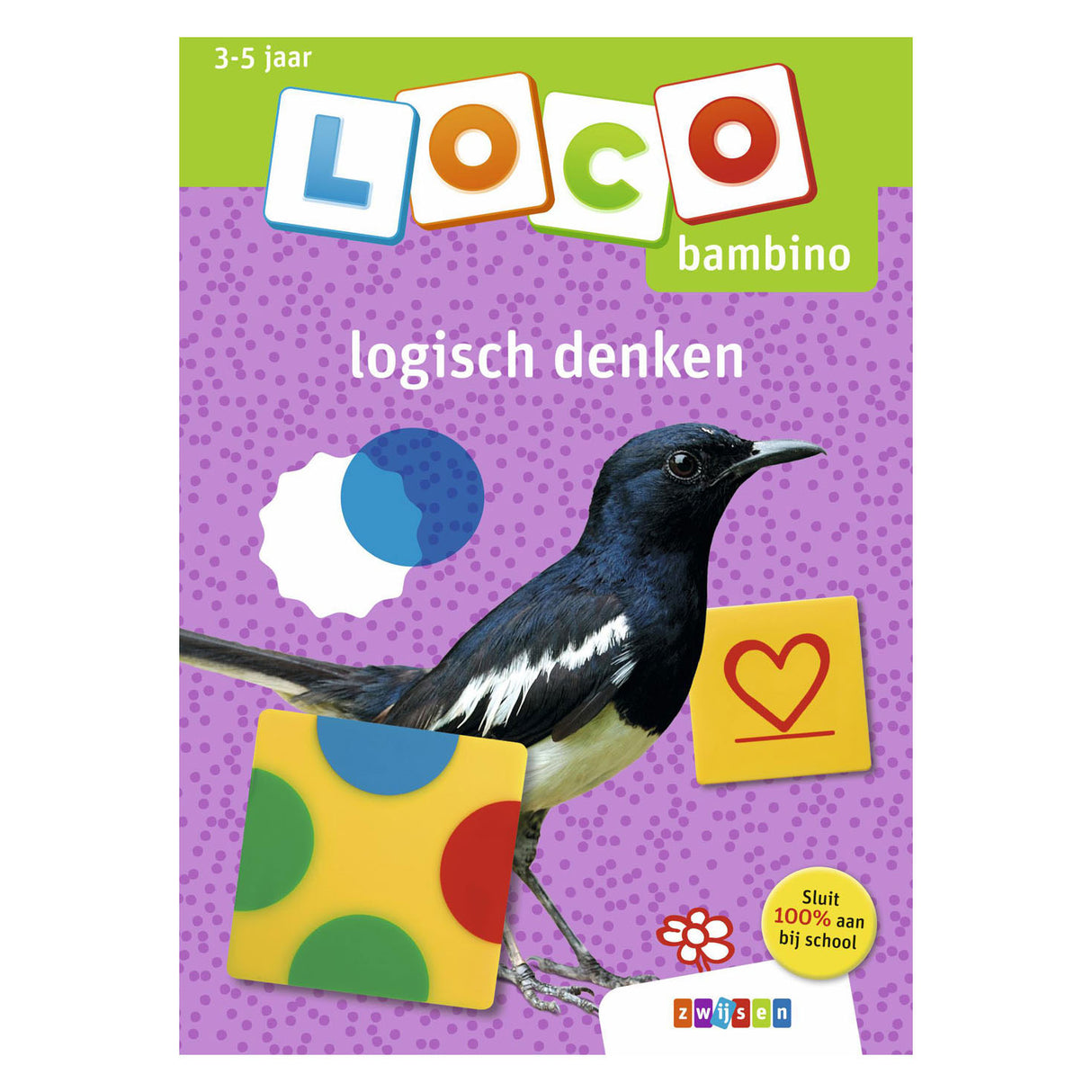 Bambino look logisches Denken