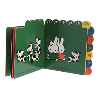 Wirst du bei Miffy buchen?