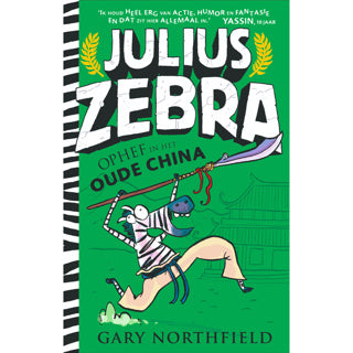 Buch Julius Zebra 5 Aufregung im antiken China