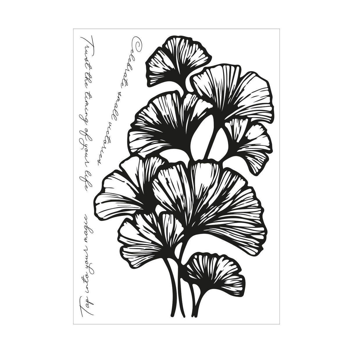Sizzix • cosmopolitan clear stamp set inspire 4pcs