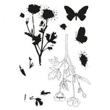 Sizzix • clear stamps set a5 with framelits die painted pencil botanical
