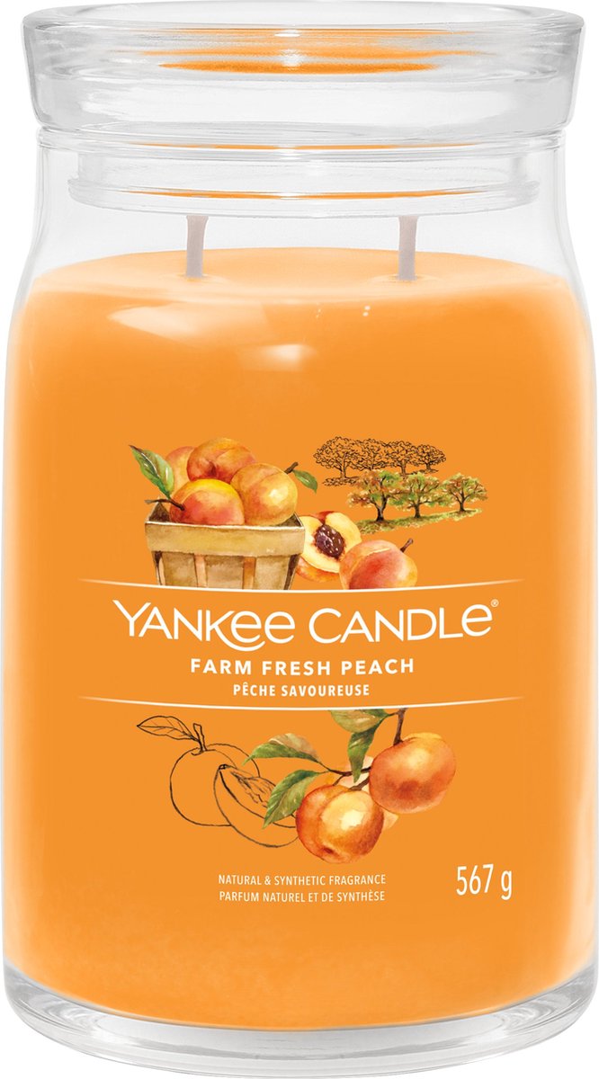 Yankee Candle – Duftkerze „Farm Fresh Peach“ im großen Glas – 90 Brennstunden – zwei Dochte