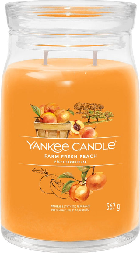 Yankee Candle – Duftkerze „Farm Fresh Peach“ im großen Glas – 90 Brennstunden – zwei Dochte