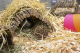 Natur erstes glückliches Haustier Playstix nagt Haus
