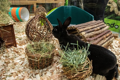 Nature First Happy Pet Heuraufe aus Weide