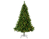 Everlands Weihnachtsbaum Kaiserkiefer210cm + LED beleuchtet