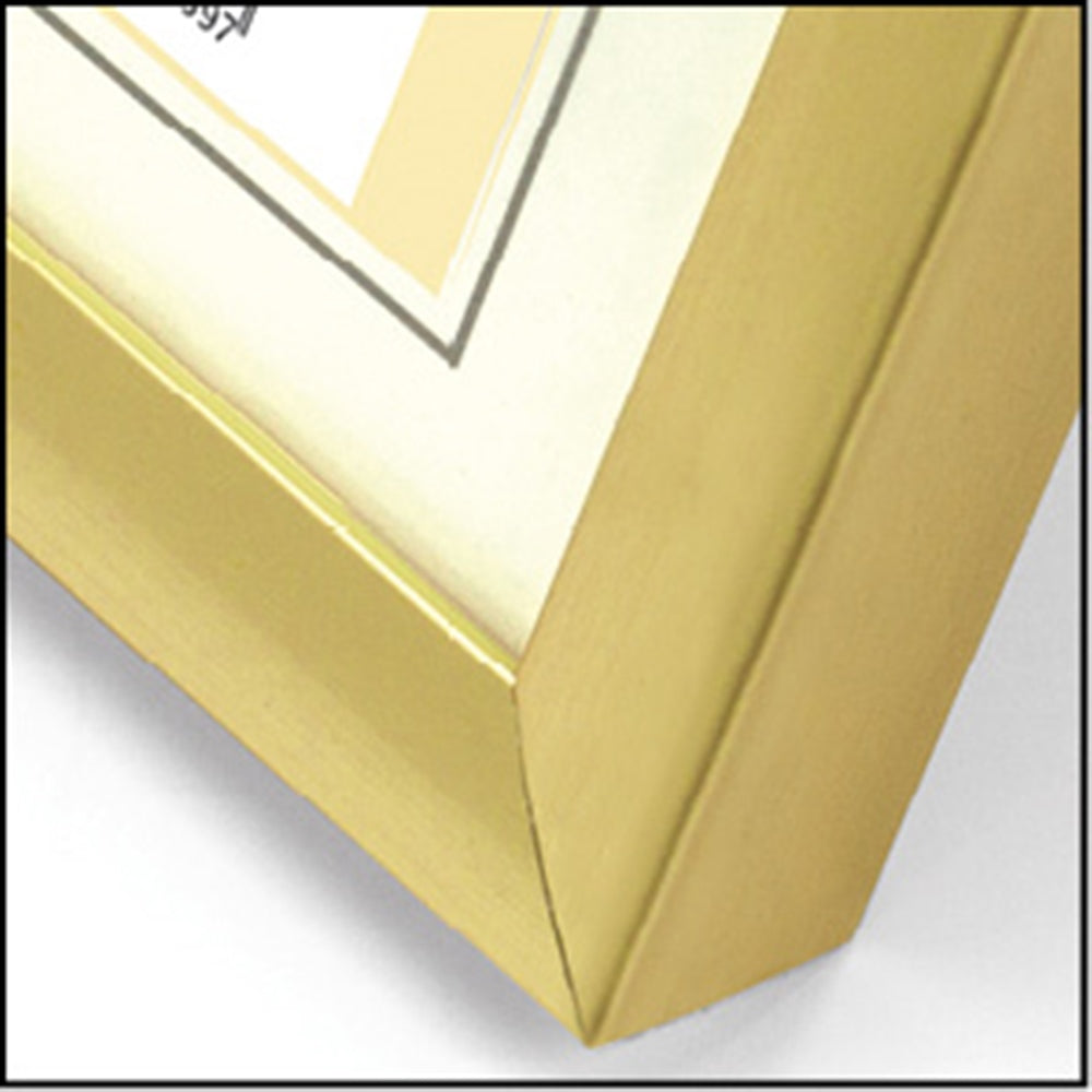 Zep neuer Easy Gold 30x40 Kunststoffrahmen kg5