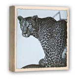 ZEP WL57100 Album Slip -in 100 Fotos 13x19 cm - 12 Alben