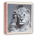 ZEP WL57100 Album Slip -in 100 Fotos 13x19 cm - 12 Alben