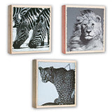 ZEP WL57100 Album Slip -in 100 Fotos 13x19 cm - 12 Alben