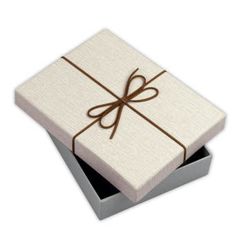 ZEP -Speicherbox BX3514A Box Piacenza A 15.3x21.4x4