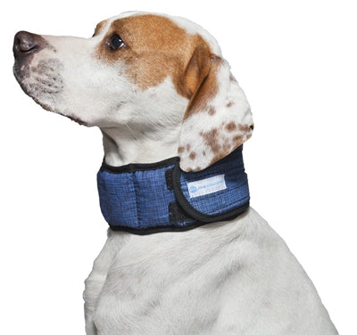 Aqua Cooleeper Collar Aqua Cooleeper Pacific Blue