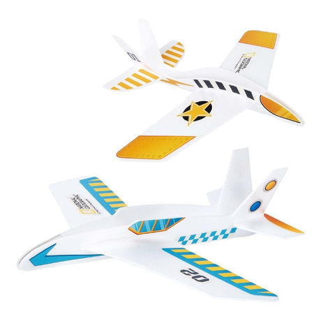 Kubisches lustiges National Geographic Flying Back-Flugzeug