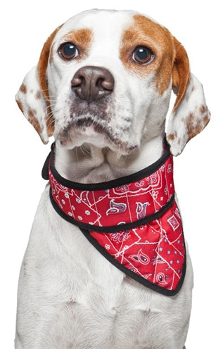 Aqua coolkeeper Bandana aqua coolkeeper red western