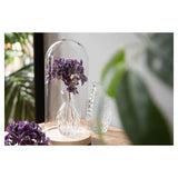 Clayre Eef Glasglocke 6gl4039 braun 13x26 cm