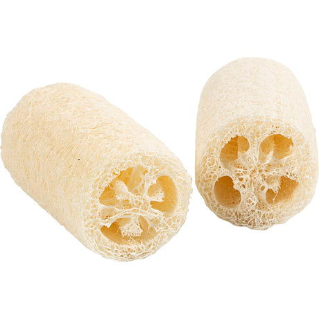 TMF Tormino Fulfillment https: www.cchobby.nl natural-loofah-sponge-l-10-cm-d-5-5-8-cm-light-natural-2-piece-1-box