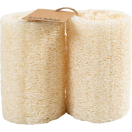 TMF Tormino Fulfillment https: www.cchobby.nl natural-loofah-sponge-l-10-cm-d-5-5-8-cm-light-natural-2-piece-1-box