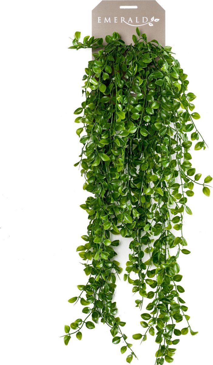 Smaragdkunstpflanze Klettern vijg 80 cm