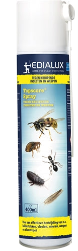 Top -Score Crawling Insect Wasp