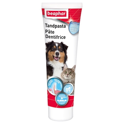 Dentifrice beaphar