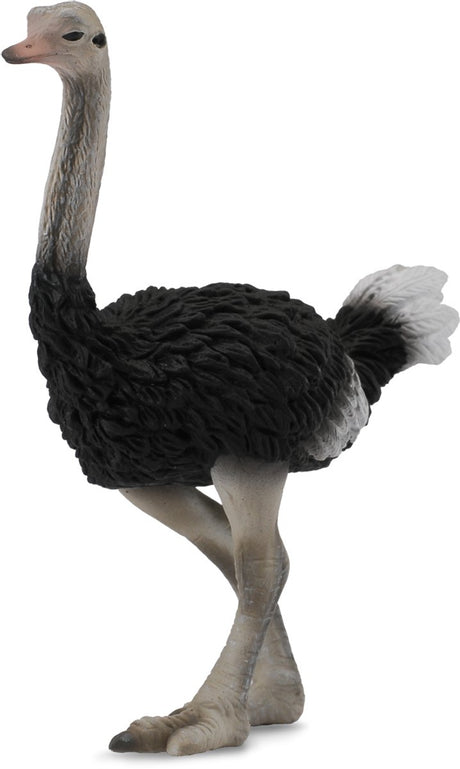Collecta Figur - Strauß - (l) - wilde Tiere - handbemalt - Miniatur
