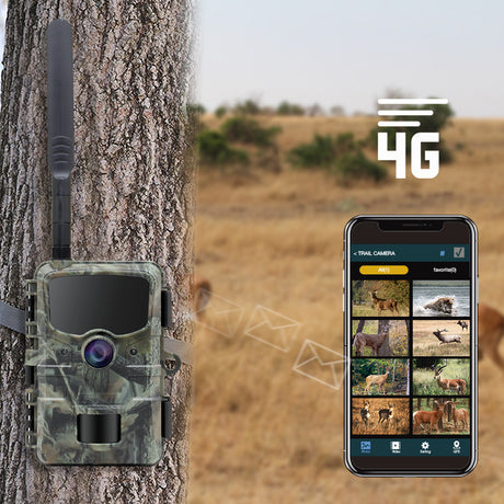Stealth Gear Igel 1080p 4G Wildkamera