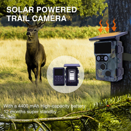 Stealth Gear Nightjar Dual-Cam-Solar-4K-WLAN-Wildkamera