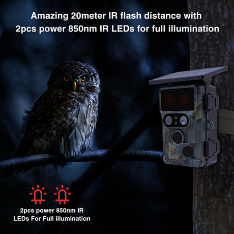 Stealth Gear Nightjar Dual-Cam-Solar-4K-WLAN-Wildkamera
