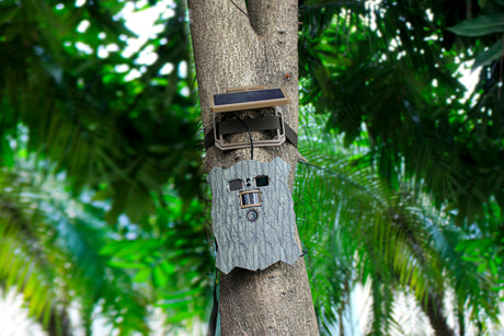 Stealth Gear Owl Solar 4K WLAN-Wildkamera