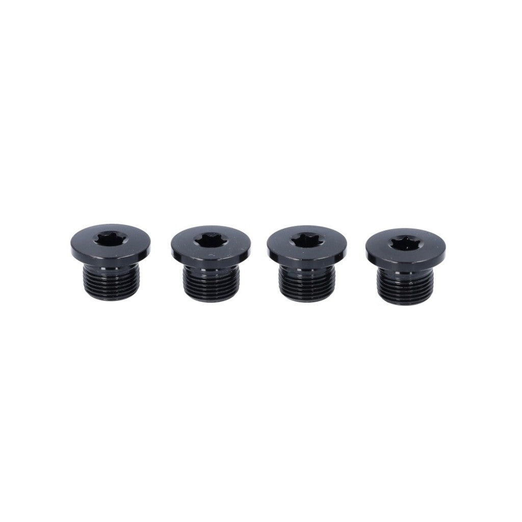 Campagnolo Kettenblattschraubensatz ca ekar gt alm zw fc-ekgt100