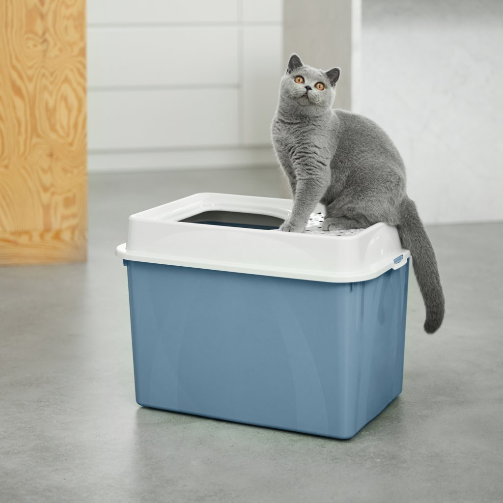 Rotho Eco Berty Kattenbak con sanguinamento blu sabbia blu