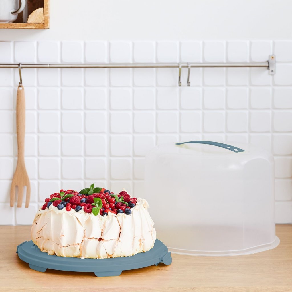 Rotho Frischkuchenbox XL 35,5x34,5x26 cm Horizontblau transparent