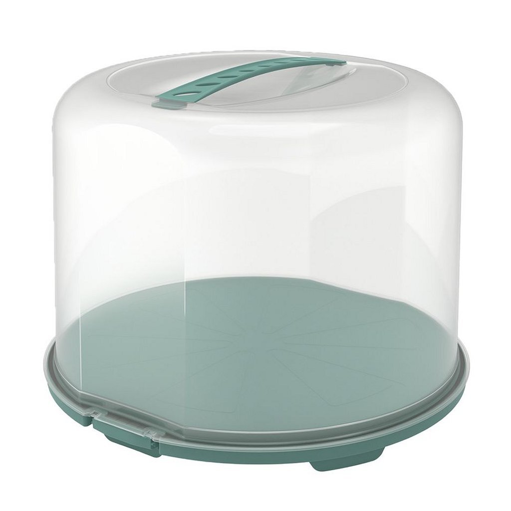 Rotho Frischkuchenbox XL 35,5x34,5x26 cm Mistelgrün transparent