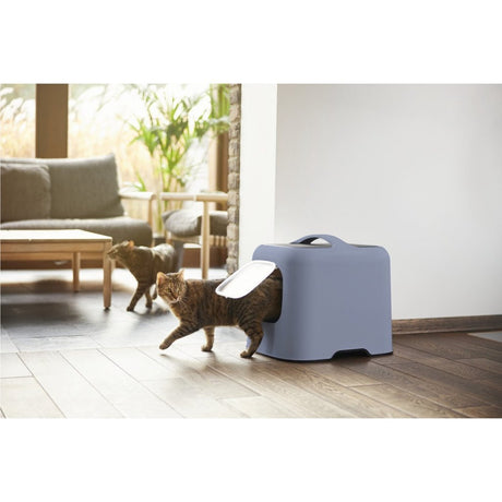 Rotho Biala Katzentoilette blau