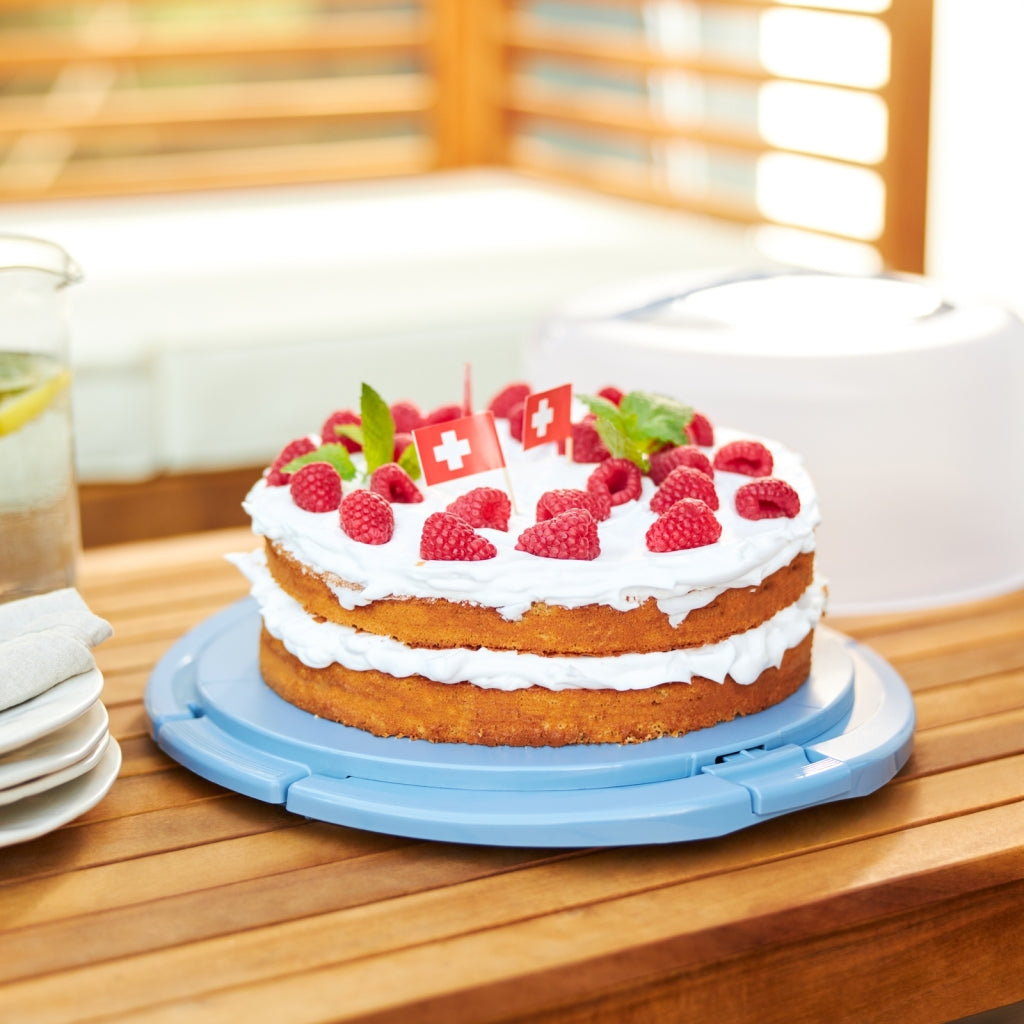 Rotho Frischkuchenbox Cool Horizon Blue