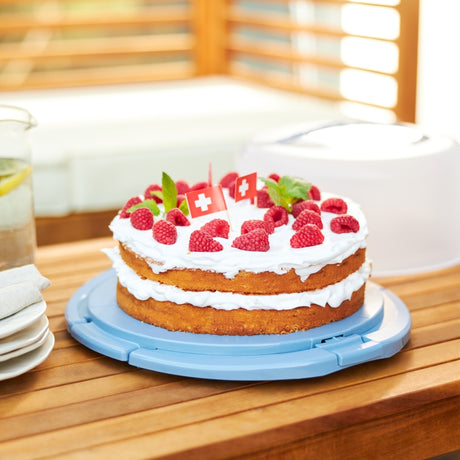 Rotho Frischkuchenbox Cool Horizon Blue