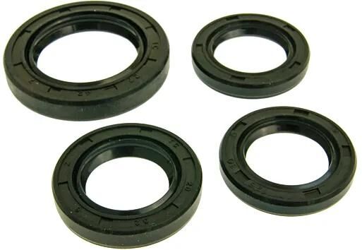 101 Octane Motoröldichtungssatz Simmerringsatz Naraku 4-teilig GY6 125 150 ccm