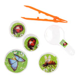 Ensemble d'observation des insectes Bugs World, 5DLG