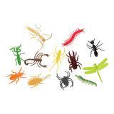 Insekten, 12St.
