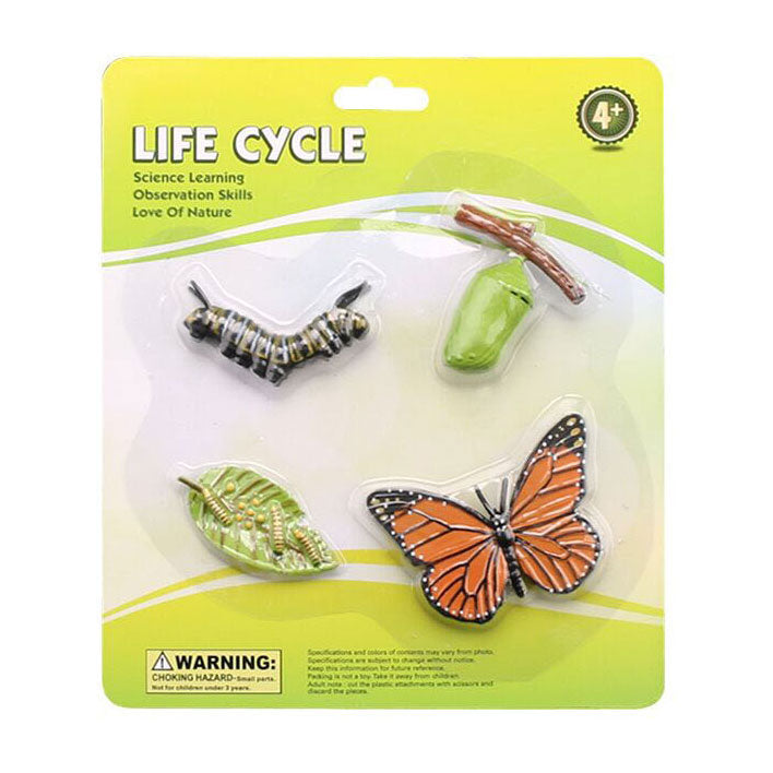 Cycplus levenscyclus vlinder speelfiguren set