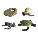 Cycplus Life Cycle Turtle Play Figuras Figuras