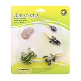 Cycplus Life Cycle Frog Play Figure Set