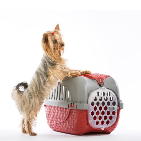 Bama Haustiertransportbox 59x38x37 cm rot silber