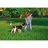 Bama Pet Trotto Disk Hundespielzeug 24,5x4,5 cm blau gelb rot